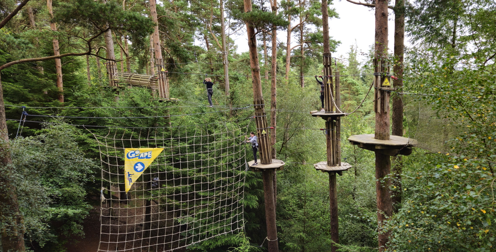 Tarzan Swing, Go Ape Haldon